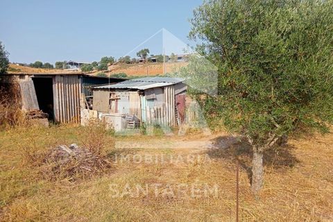 Terra a Pontevel, Santarem, Pontevel - € 75.000 | Ref: 11944 - foto 9