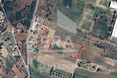Terra a Pontevel, Santarem, Pontevel - € 75.000 | Ref: 11944 - foto 13