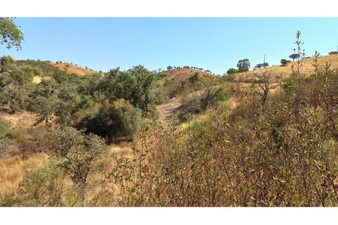 Farm hus i Ourique, Beja, Ourique - € 650.000 | Ref: CC_MON_18069 - foto 3
