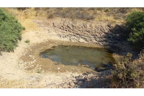 Farm hus i Ourique, Beja, Ourique - € 650.000 | Ref: CC_MON_18069 - foto 4