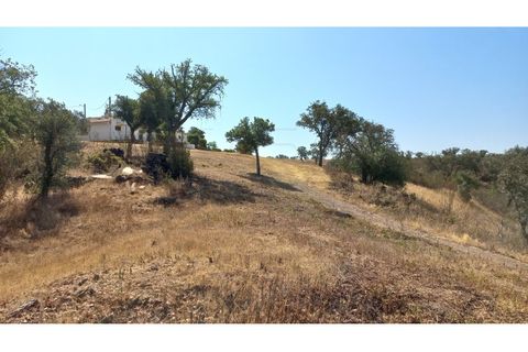 Farm hus i Ourique, Beja, Ourique - € 650.000 | Ref: CC_MON_18069 - foto 5