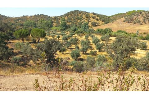 Farm hus i Ourique, Beja, Ourique - € 650.000 | Ref: CC_MON_18069 - foto 6