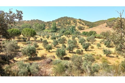 Farm hus i Ourique, Beja, Ourique - € 650.000 | Ref: CC_MON_18069 - foto 7