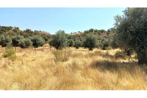 Farm hus i Ourique, Beja, Ourique - € 650.000 | Ref: CC_MON_18069 - foto 9