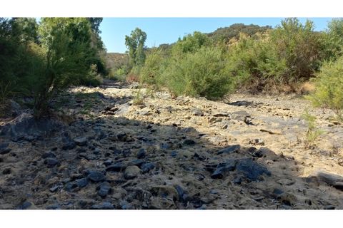 Farm hus i Ourique, Beja, Ourique - € 650.000 | Ref: CC_MON_18069 - foto 10