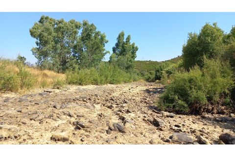 Farm hus i Ourique, Beja, Ourique - € 650.000 | Ref: CC_MON_18069 - foto 11
