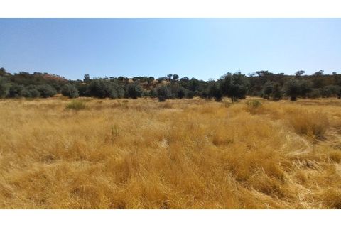 Farm hus i Ourique, Beja, Ourique - € 650.000 | Ref: CC_MON_18069 - foto 12