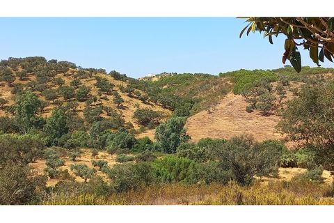 Farm hus i Ourique, Beja, Ourique - € 650.000 | Ref: CC_MON_18069 - foto 20