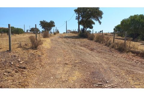 Farm hus i Ourique, Beja, Ourique - € 650.000 | Ref: CC_MON_18069 - foto 22