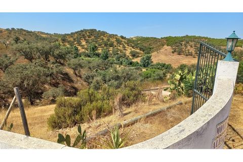 Farm hus i Ourique, Beja, Ourique - € 650.000 | Ref: CC_MON_18069 - foto 24