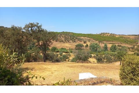 Farm hus i Ourique, Beja, Ourique - € 650.000 | Ref: CC_MON_18069 - foto 26