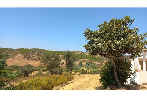 Farm hus i Ourique, Beja, Ourique - € 650.000 | Ref: CC_MON_18069 - foto 27