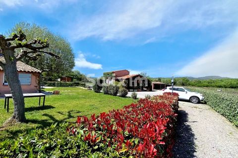 Landejendom i Vidauban, Var, Vidauban - € 795.000 | Ref: 4206TP - foto 4