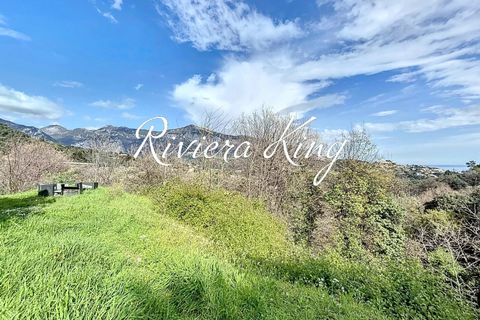 Villa i Menton, Alpes-Maritimes, Menton - € 1.100.000 | Ref: 1965LRRK - foto 26