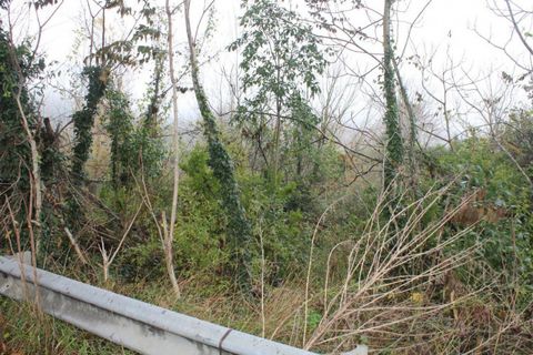 Helårsgrund i Pontedera, Pisa, Pontedera - € 100.000 | Ref: 2537185 - foto 14