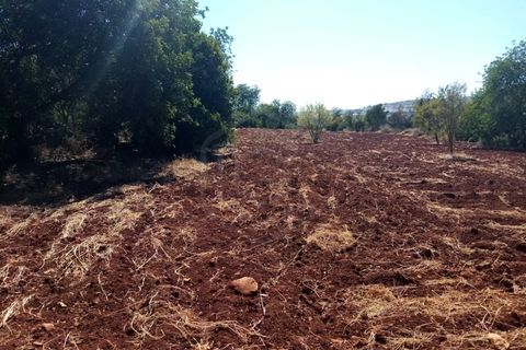 Villa a Boliqueime, Faro, Boliqueime - € 650.000 | Ref: HAB_53448 - foto 24
