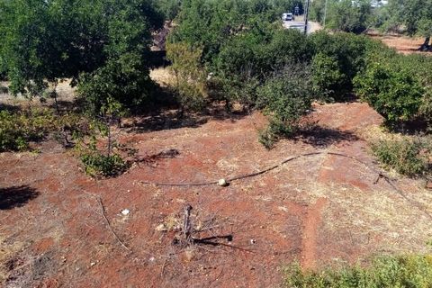 Villa a Boliqueime, Faro, Boliqueime - € 650.000 | Ref: HAB_53448 - foto 26