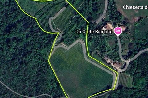 Tomt i Teolo, Padua, Teolo - € 750 000 | Ref: TER 281 - foto 4