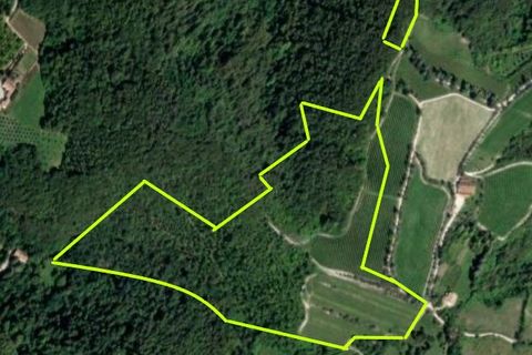 Tomt i Teolo, Padua, Teolo - € 750 000 | Ref: TER 281 - foto 6