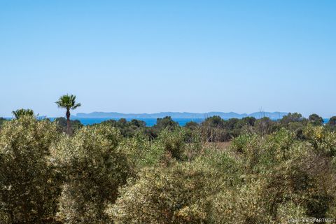 Masia a Campos, Mallorca, Campos - € 3.950.000 | Ref: MH000123 - foto 8