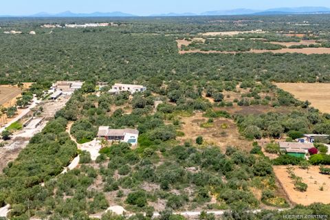 Masia a Campos, Mallorca, Campos - € 3.950.000 | Ref: MH000123 - foto 10