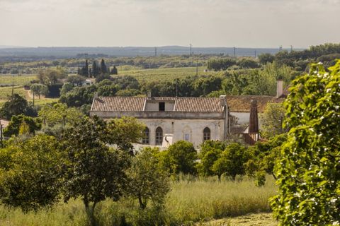 Farm i Estremoz, Evora, Estremoz - € 1.450.000 | Ref: AG053 - foto 3