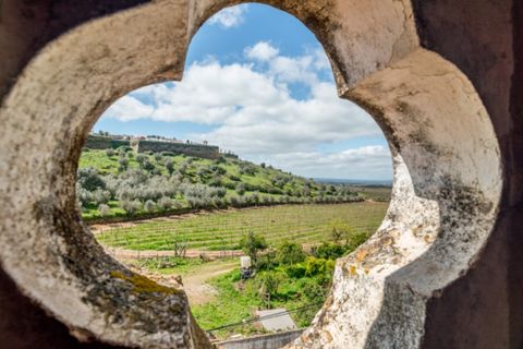 Farm i Estremoz, Evora, Estremoz - € 1.450.000 | Ref: AG053 - foto 9