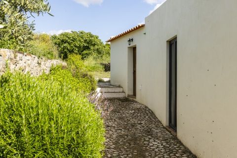 Farm i Estremoz, Evora, Estremoz - € 1.450.000 | Ref: AG053 - foto 13