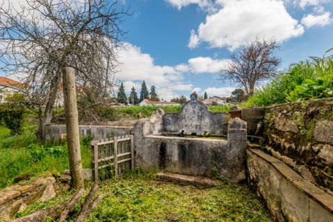 Farm i Estremoz, Evora, Estremoz - € 1.450.000 | Ref: AG053 - foto 26
