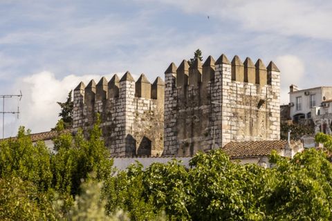 Farm i Estremoz, Evora, Estremoz - € 1.450.000 | Ref: AG053 - foto 28