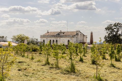 Farm i Estremoz, Evora, Estremoz - € 1.450.000 | Ref: AG053 - foto 24