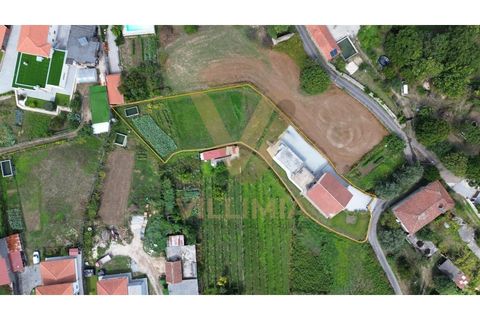Villa a Ponte de Lima, Viana do Castelo, Ponte de Lima - € 349.000 | Ref: V331 - foto 3