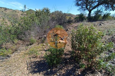 Helårsgrund i Castro Marim, Faro, Castro Marim - € 30.000 | Ref: SU-CS-TR-89344 - foto 13
