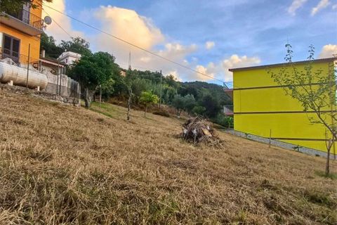 Lejlighed i Cetraro, Cosenza, Cetraro - € 30.000 | Ref: 1346 - foto 14