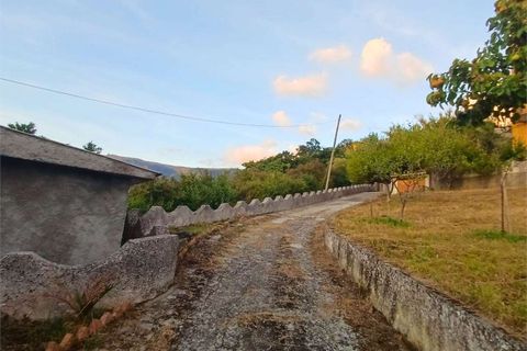 Lejlighed i Cetraro, Cosenza, Cetraro - € 30.000 | Ref: 1346 - foto 16