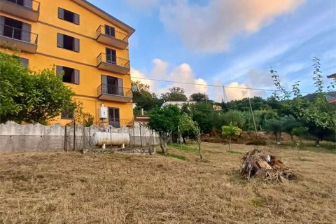 Lejlighed i Cetraro, Cosenza, Cetraro - € 30.000 | Ref: 1346 - foto 18