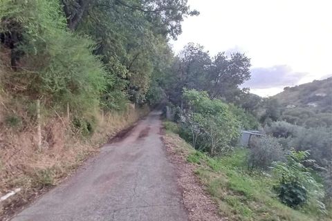 Lejlighed i Cetraro, Cosenza, Cetraro - € 30.000 | Ref: 1346 - foto 21