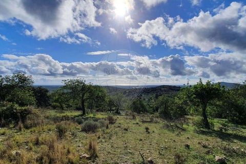 Крестьянский дом, ферма в Tavira, Faro, Tavira - € 699 000 | Ссылка: 120611304-931 - photo 3