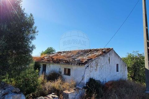 Крестьянский дом, ферма в Tavira, Faro, Tavira - € 699 000 | Ссылка: 120611304-931 - photo 6