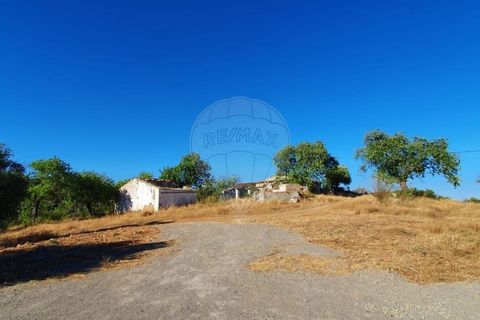 Крестьянский дом, ферма в Tavira, Faro, Tavira - € 699 000 | Ссылка: 120611304-931 - photo 7