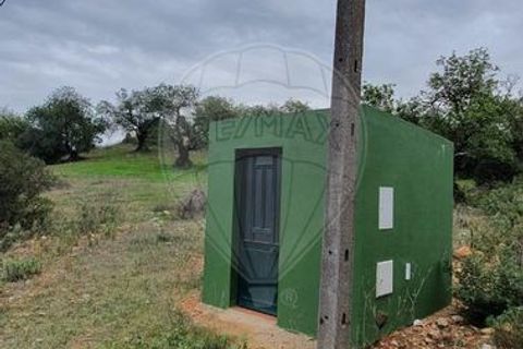 Крестьянский дом, ферма в Tavira, Faro, Tavira - € 699 000 | Ссылка: 120611304-931 - photo 8