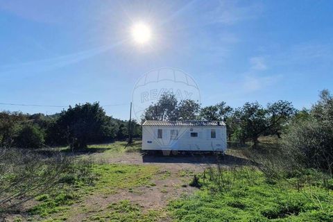 Крестьянский дом, ферма в Tavira, Faro, Tavira - € 699 000 | Ссылка: 120611304-931 - photo 9
