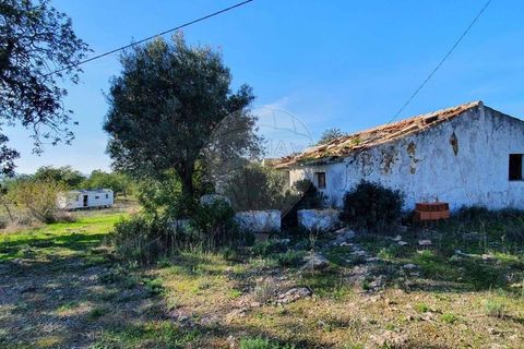 Крестьянский дом, ферма в Tavira, Faro, Tavira - € 699 000 | Ссылка: 120611304-931 - photo 10