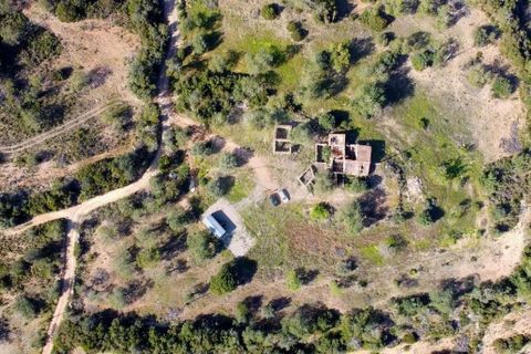 Крестьянский дом, ферма в Tavira, Faro, Tavira - € 699 000 | Ссылка: 120611304-931 - photo 12