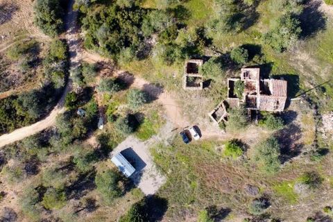 Крестьянский дом, ферма в Tavira, Faro, Tavira - € 699 000 | Ссылка: 120611304-931 - photo 13