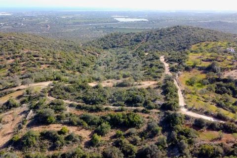 Крестьянский дом, ферма в Tavira, Faro, Tavira - € 699 000 | Ссылка: 120611304-931 - photo 16