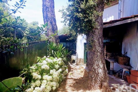 Byhus i Caminha, Viana do Castelo, Caminha - € 1.600.000 | Ref: 127835 - foto 24
