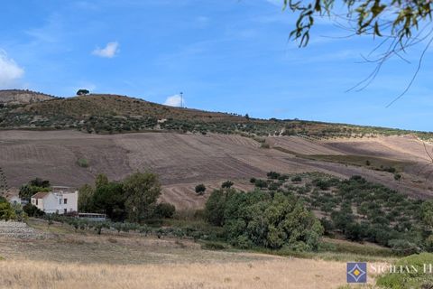 Byhus i Buseto Palizzolo, Trapani, Buseto Palizzolo - € 74.800 | Ref: Casa Pedro - foto 27