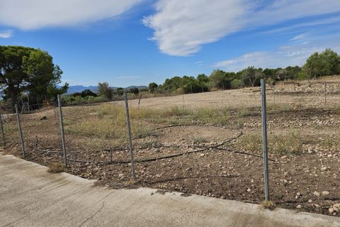 Landhaus in Mora D'ebre, Tarragona, Mora D'ebre - € 339.000 | Ref: Mor14tra - Foto 37