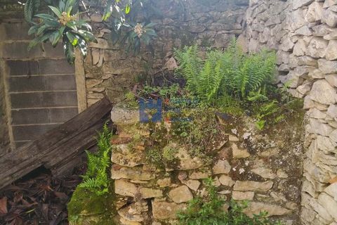 Villa i Fatima, Santarem, Fatima - € 65.000 | Ref: T1150_2025 - foto 5